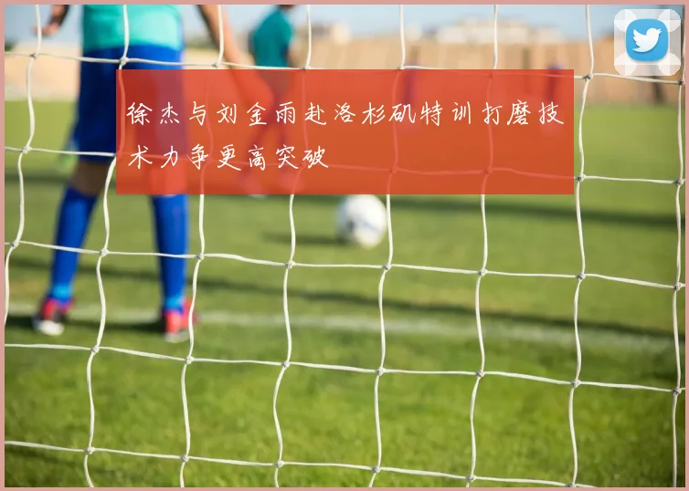 徐杰与刘金雨赴洛杉矶特训打磨技术力争更高突破